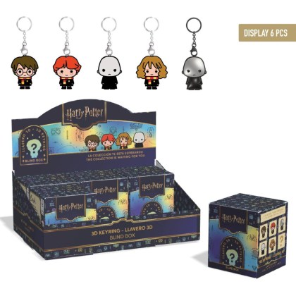Keychain Blindbox Harry Potter