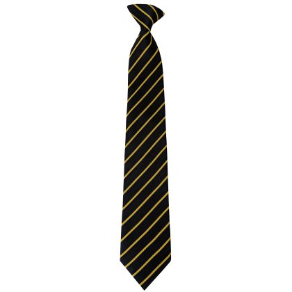 South Molton Community College Clip-On Tie