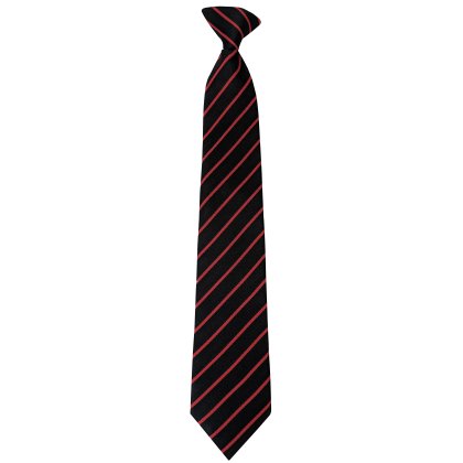 South Molton Community College Clip-On Tie South Molton Community College Clip-On Tie