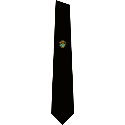 Axe Valley Academy Tie - Clip-On Axe Valley Academy Tie - Clip-On