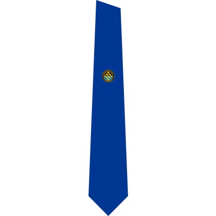 Axe Valley Academy Tie - Clip-On Axe Valley Academy Tie - Clip-On