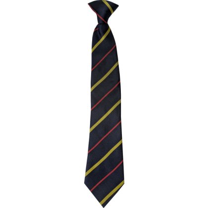 Clyst Vale Community College Clip-On Tie Clyst Vale Community College Clip-On Tie