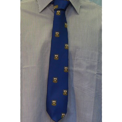 Colyton Grammar 6th Form Tie Colyton Grammar 6th Form Tie