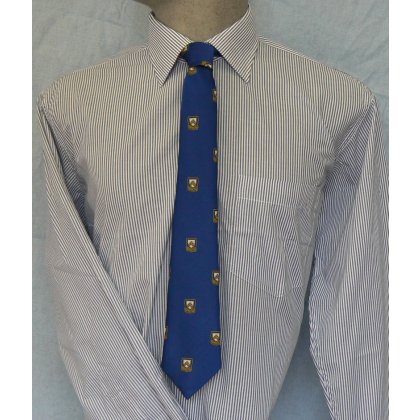 Colyton Grammar Sixth Form Long Sleeve Striped Shirt Colyton Grammar Sixth Form Long Sleeve Striped Shirt