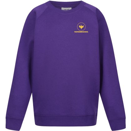 Promise School Sweatshirt Promise School Sweatshirt