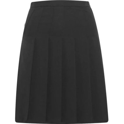 Designer Pleated Skirt Designer Pleated Skirt