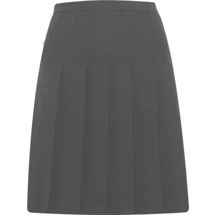 Designer Pleated Skirt Designer Pleated Skirt