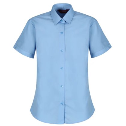 Short Sleeve Slim Fit Non Iron Blouse from Winterbottoms