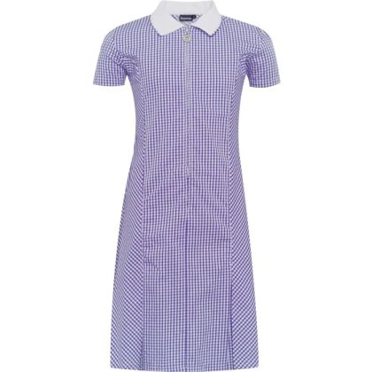 Gingham Zip Front School Summer Dress (Avon) Gingham Zip Front School Summer Dress (Avon)