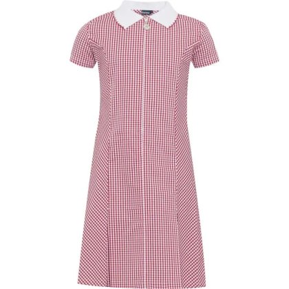 Gingham Zip Front School Summer Dress (Avon) Gingham Zip Front School Summer Dress (Avon)