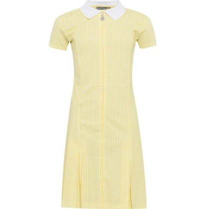 Gingham Zip Front School Summer Dress (Avon) Gingham Zip Front School Summer Dress (Avon)