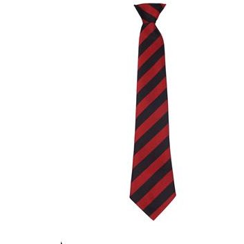Axminster Academy/Okehampton Primary School Tie Axminster Academy/Okehampton Primary School Tie