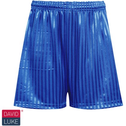 Shadow Stripe Short