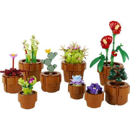 Tiny Plants Tiny Plants