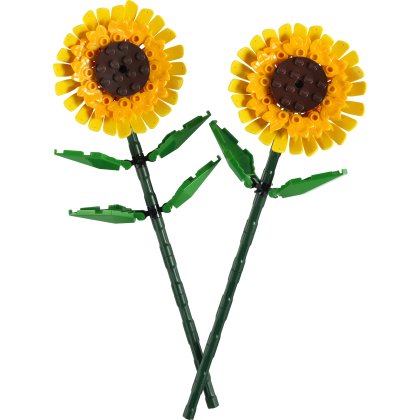 Sunflowers Sunflowers