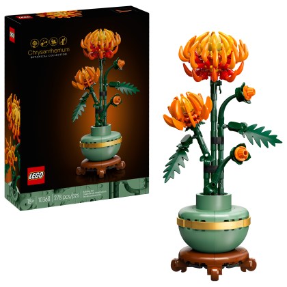 Chrysanthemum