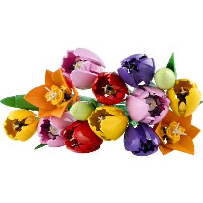 Tulip Bouquet Tulip Bouquet