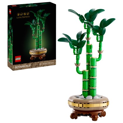 Lucky Bamboo Lucky Bamboo