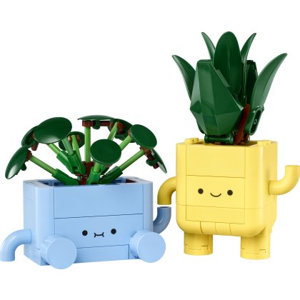 Happy Plants Happy Plants