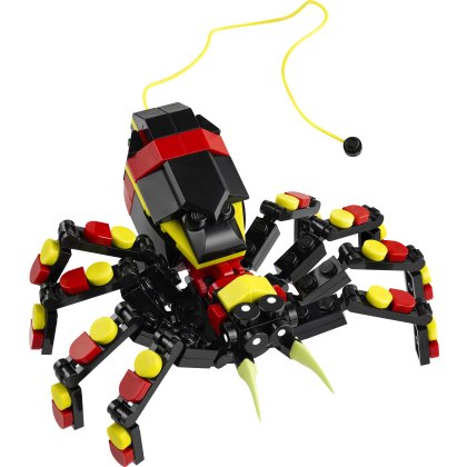 Wild Animals: Surprising Spider Wild Animals: Surprising Spider
