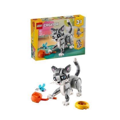 Playful Cat