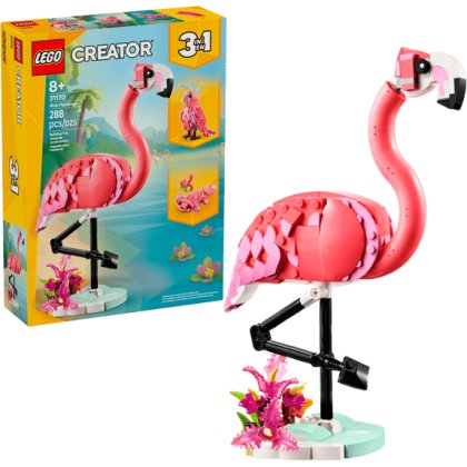 Wild Animals: Pink Flamingo Wild Animals: Pink Flamingo
