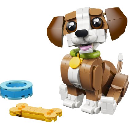 Cute Animals: Playful Puppy Dog