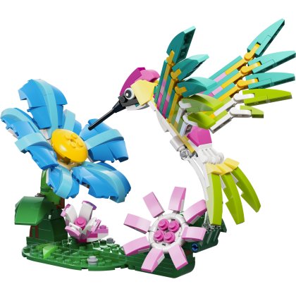 Wild Animals: Colorful Hummingbird Wild Animals: Colorful Hummingbird
