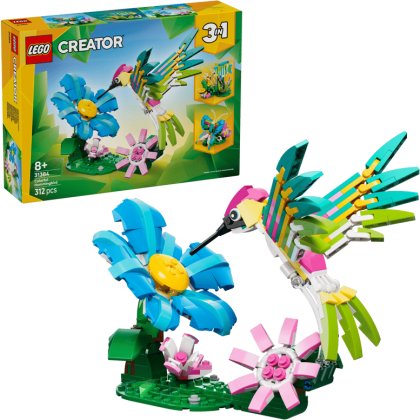Wild Animals: Colorful Hummingbird Wild Animals: Colorful Hummingbird