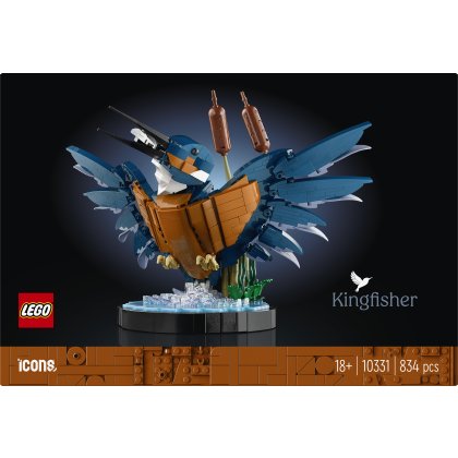 Kingfisher Bird Kingfisher Bird