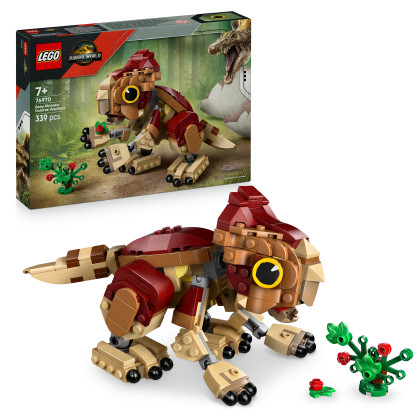 Baby Dinosaur Dolores: Aquilops