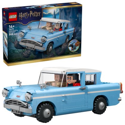Enchanted Flying Ford Anglia Enchanted Flying Ford Anglia