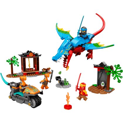 Ninja Dragon Temple Ninja Dragon Temple