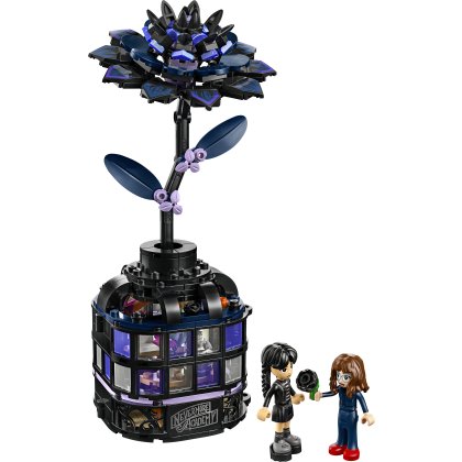 Black Dahlia Flower