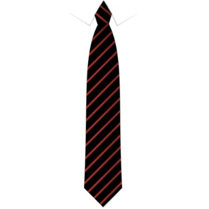 St Thomas of Canterbury Primary Tie