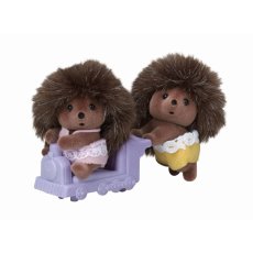Hedgehog Twins Hedgehog Twins