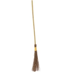 Witch's Broom Stick