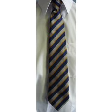 Honiton Community College Clip-On Tie Honiton Community College Clip-On Tie
