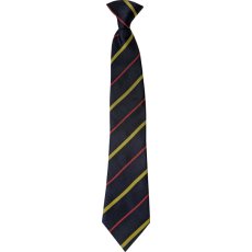 Clyst Vale Community College Clip-On Tie Clyst Vale Community College Clip-On Tie