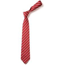 Blackpool Primary Tie Blackpool Primary Tie