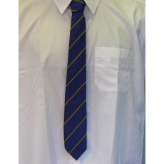 Colyton Grammar Tie