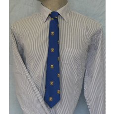 Colyton Grammar Sixth Form Long Sleeve Striped Shirt