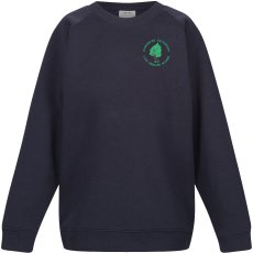 Woodbury Salterton Primary Sweatshirt