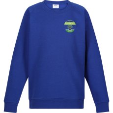 Plymtree Primary Sweatshirt