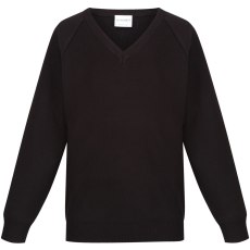 Performa 50/50 V-Neck Pullover