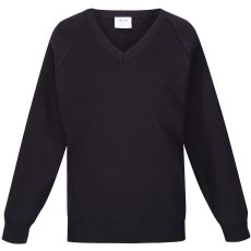 Performa 50/50 V-Neck Pullover