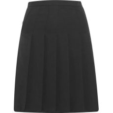 Designer Pleated Skirt