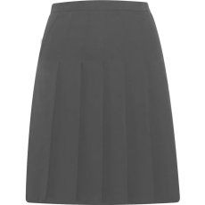 Designer Pleated Skirt Designer Pleated Skirt