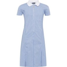 Gingham Zip Front School Summer Dress (Avon) Gingham Zip Front School Summer Dress (Avon)