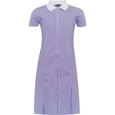 Gingham Zip Front School Summer Dress (Avon) Gingham Zip Front School Summer Dress (Avon)